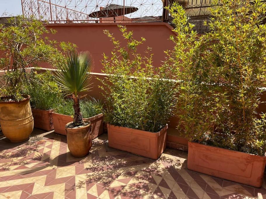 Riad Nadara, Superbe Riad Au Coeur De La Medina! Marrákes Kültér fotó